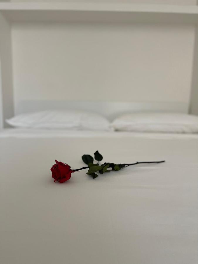 A Casa Di Arianna Διαμέρισμα Μιλάνο Εξωτερικό φωτογραφία